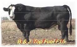 B & J Top Fuel F16